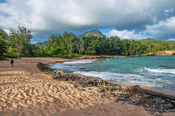 costa sur de kauai - mahaulepu beach fotografías e imágenes de stock