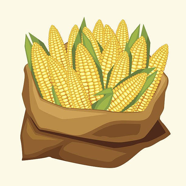 illustrazioni stock, clip art, cartoni animati e icone di tendenza di illustrazione di stilizzato sacco con pomodori freschi corn cobs. - corn corn crop corn on the cob food