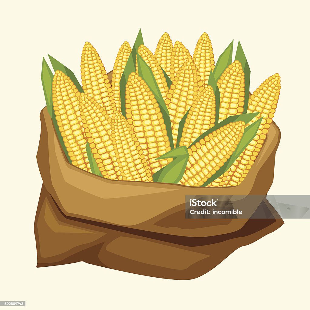 Illustration of stylized sack with fresh ripe corn cobs. Corn stock vector