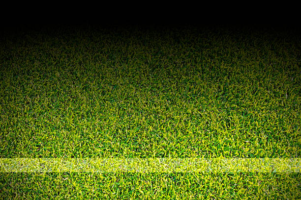 istock White strips on soccer field 502892079
