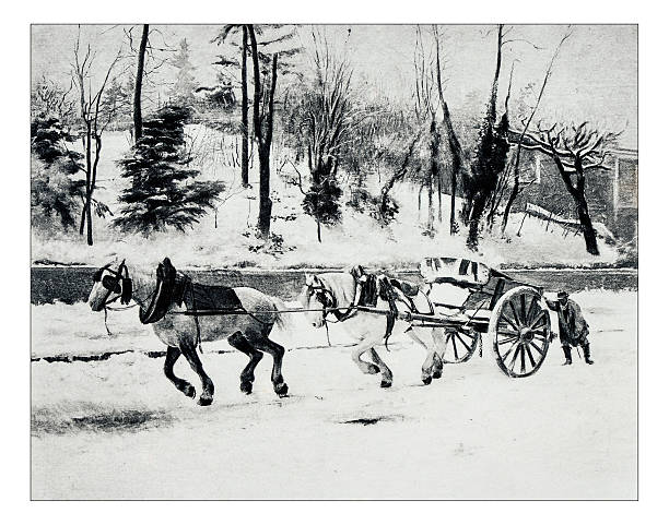 istock Antique illustration of 