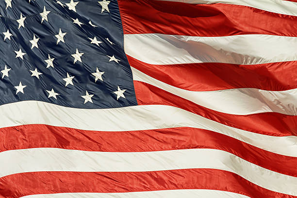 istock My blood is red, white and blue 502892417