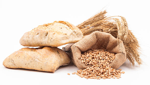 istock assortment of baked bread 502892712