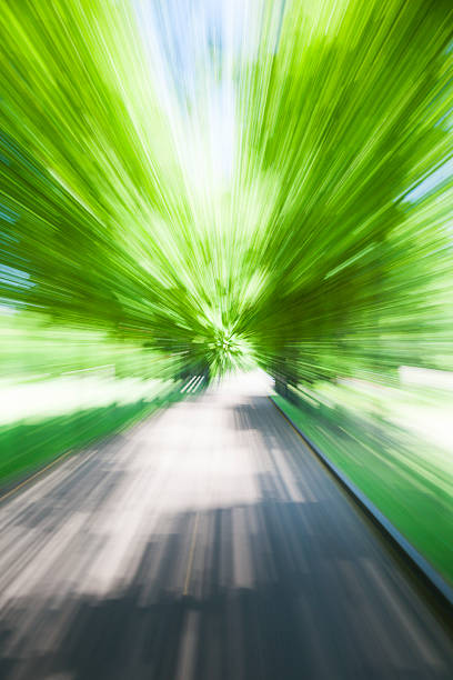 istock Country road. Motion blur. Speed. 502893239