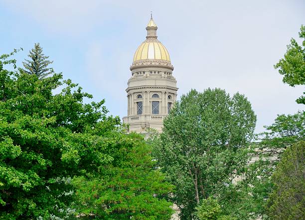 istock Wyoming Capitol Building 502893417