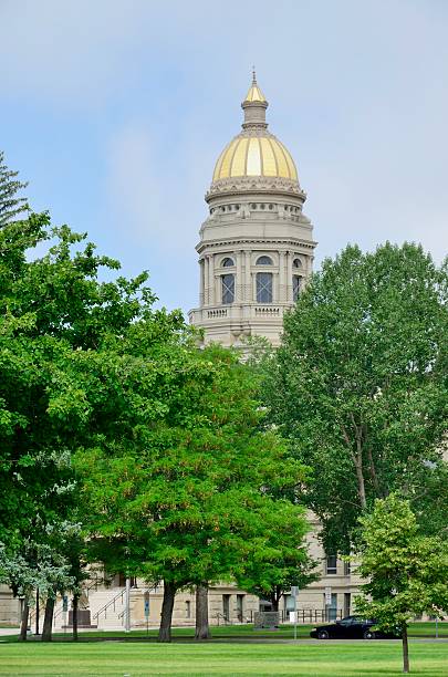 istock Wyoming Capitol Building 502893429