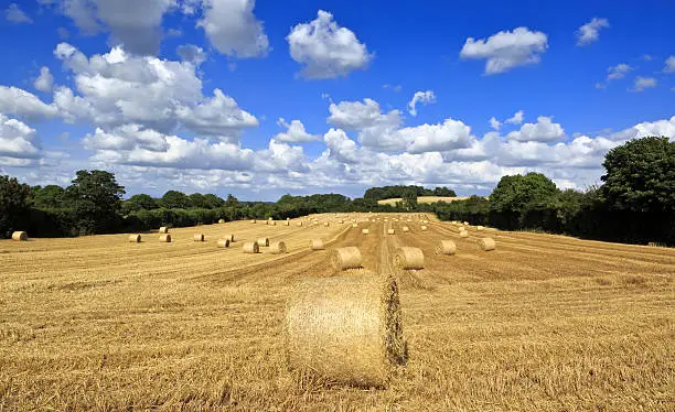 Straw bales in Irish countryside, Ireland, Europe