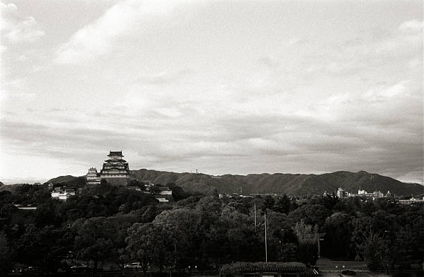 Himeji Castle in the Landscape