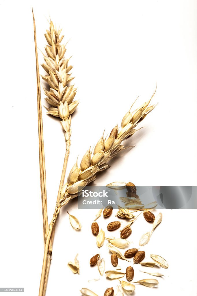 Cereal Agriculture Stock Photo