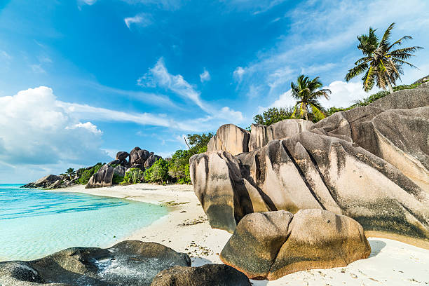 istock Anse Sous d'Argent beach with granite boulders 502909685
