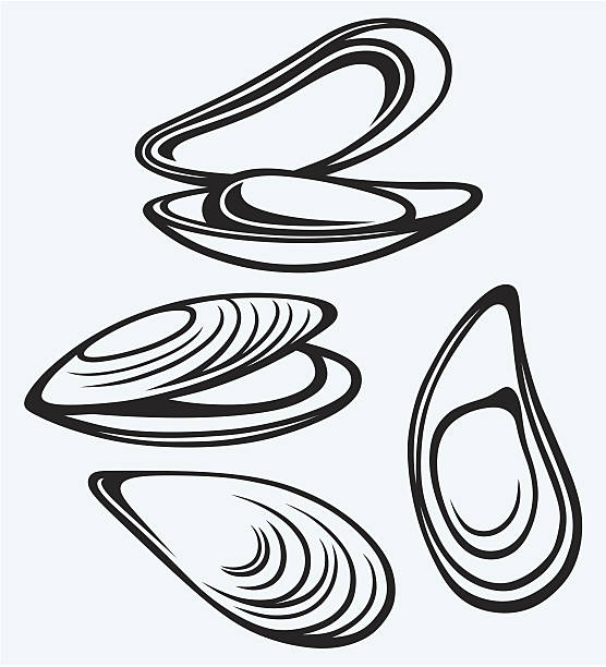 Gotowane lipped małże – artystyczna grafika wektorowa