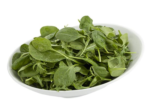 istock plate of vegetable salad 502915104