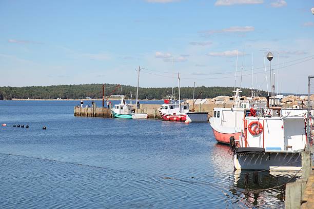 istock Nova Scotia scenery at Mill Cove, Nova Scotia 502917638
