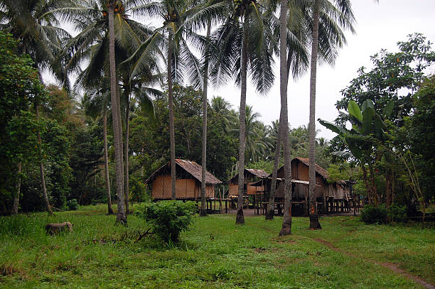 istock Village in jungles 502919440
