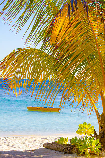 istock Seychelles - Canoe at the beach on a sunny day 502921246
