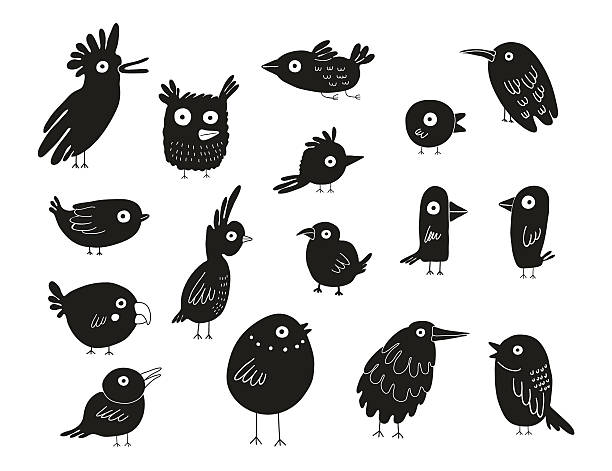 새 실루엣 세트, 벡터, 일러스트 - funny bird stock illustrations