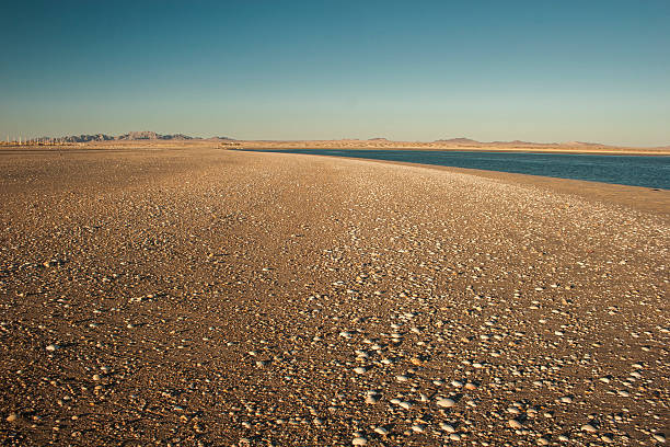 Shells, Sand and Beach, Puerto Peñasco. stock photo