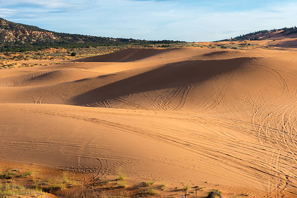 istock coral pink sand dunes 502923290
