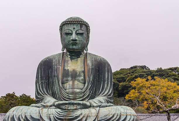 der great buddha-kamakura, japan - hase temple stock-fotos und bilder