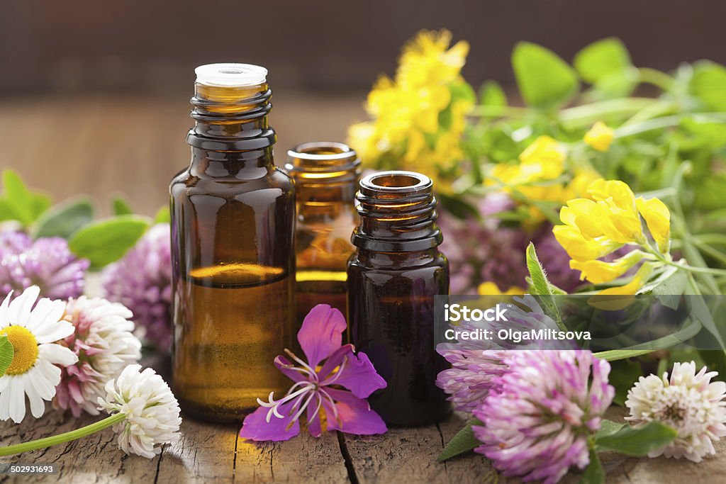 Huiles essentielles et herbes médicales fleurs - Photo de Huiles et essences essentielles libre de droits