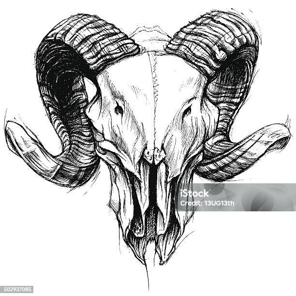 Ram Skull Stock Illustration - Download Image Now - Devil, Drawing - Activity, Drawing - Art Product