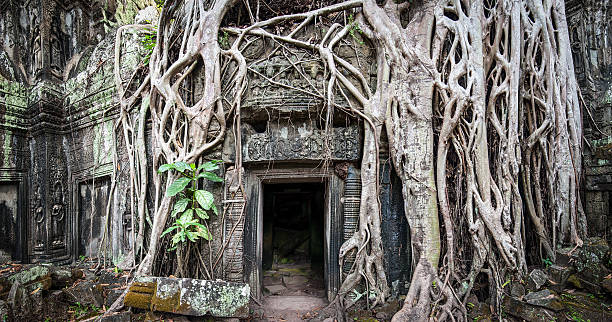 istock Angkor Wat Cambodia. Ta Prohm Khmer temple 502937667