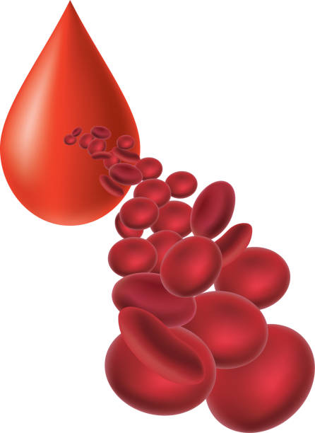 유혈 - blood cell anemia cell structure red blood cell stock illustrations