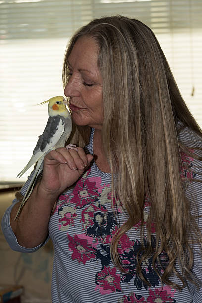 istock Woman kissing her bird 502938160
