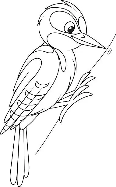 Vector illustration of woodpecker