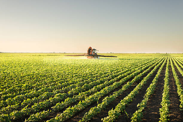 tractor напыления пестицидов - spraying crop sprayer farm agriculture стоковые фото и изображения