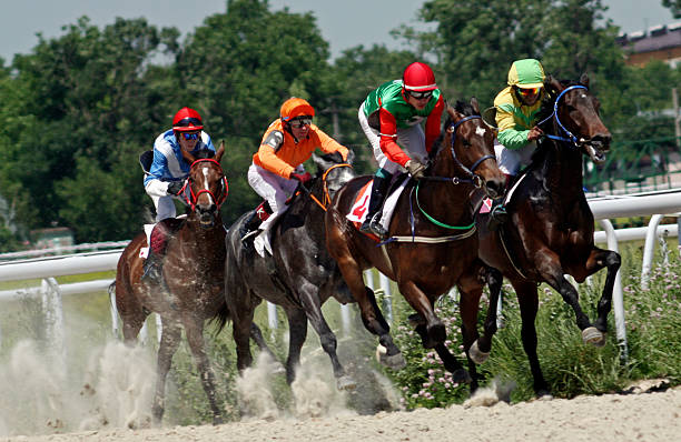 istock Horse racing in Pyatigorsk. 502938936