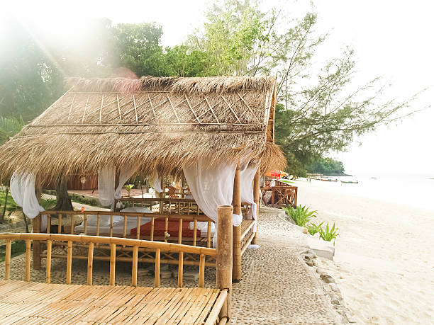 istock tropical asian style bamboo hut on the beach 502941690