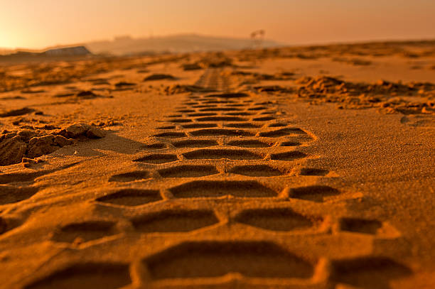 Tire Tracks Outdoor 4x4 photos stock pictures, royalty-free photos & images