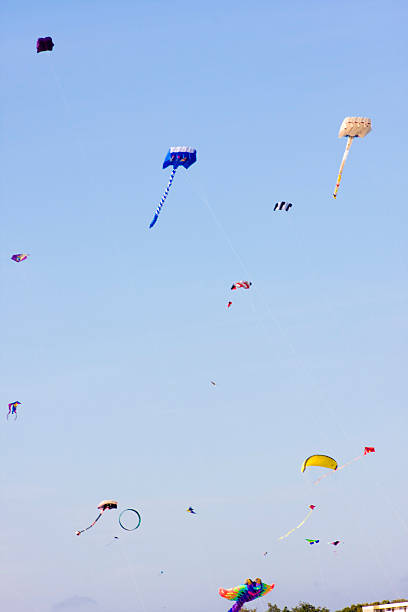 istock Kites in the air 502943502