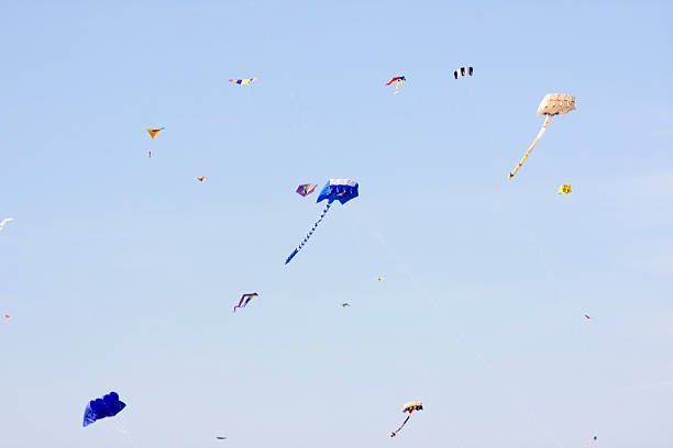 istock Kites in the air 502943516
