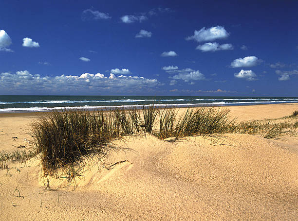 la plage - vendee photos et images de collection