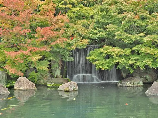 Koko-en Garden in Himeji, Hyogo Prefecture, Japan. Koko-en Garden is a Japanese garden located next to Himeji Castle.