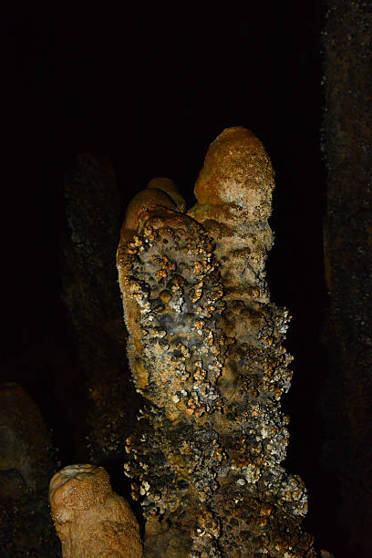 pared de piedra caliza en la cueva cubierto con dripstone - dripstone fotografías e imágenes de stock