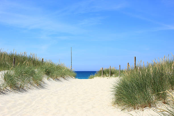 istock Beach at the Atlantic Ocean, France 502954251
