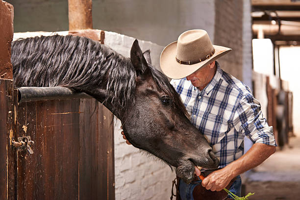 istock Let's go for a ride ole' fella 502956763