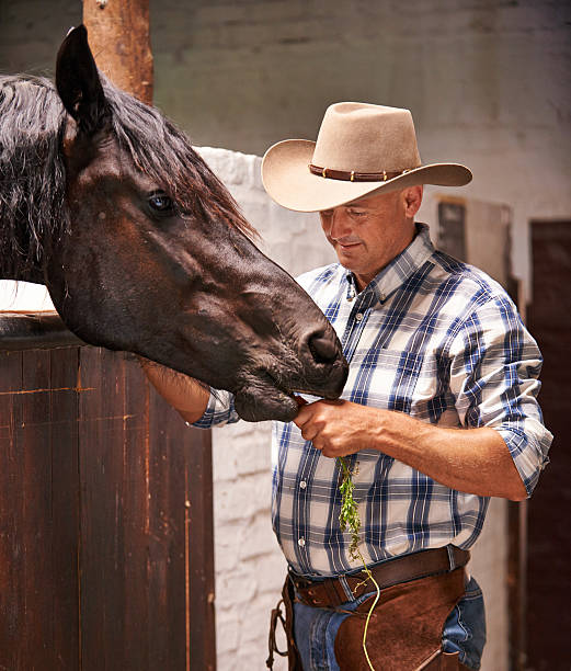 istock This horse does it the healthy way 502956767
