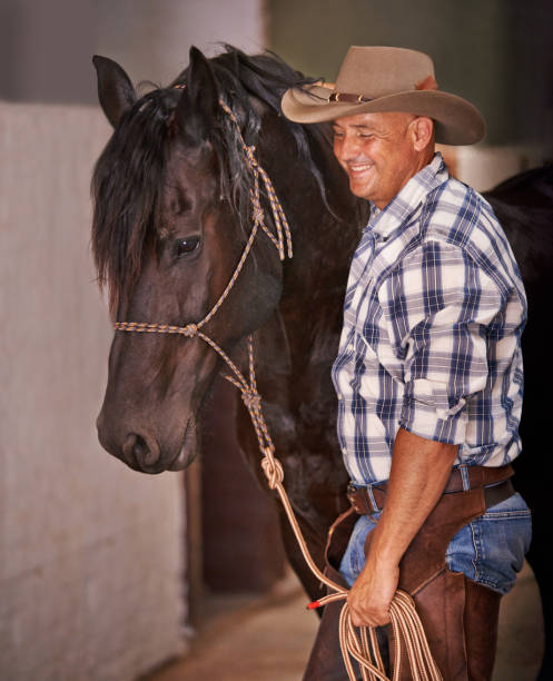 istock Ready for a ride big fella? 502956771