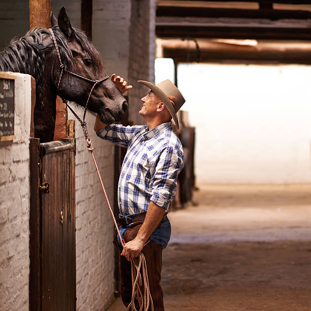 istock It's time to go for a ride 502956783