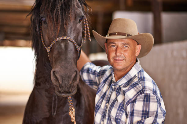 istock He's a gentle horse 502956785