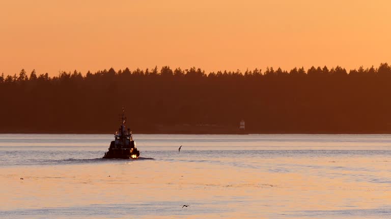 Tugboat In Amazing Evening Lighting