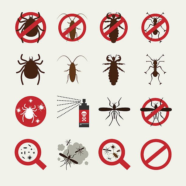 Insecticide Icon set Vector Insecticide pests icon set insecticide stock illustrations