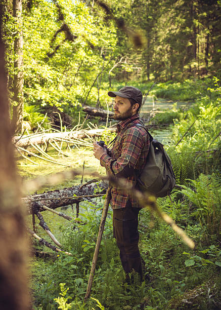 istock Caucasian Hiker In A Sunlit Forest Swamp 502964406