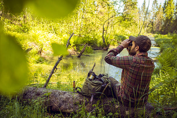 istock Bird Watching in a Sunlit Forest Nearby River 502964490