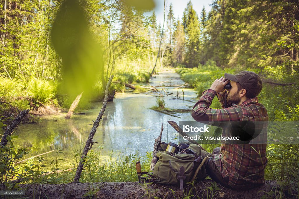 Avventure nella natura vicino fiume in una foresta - Foto stock royalty-free di Osservare gli uccelli