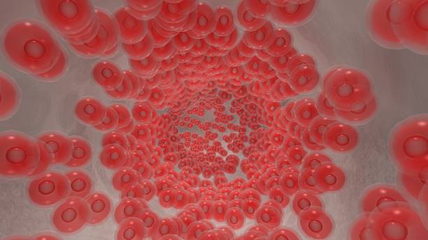 istock Endoscopic view of flowing red blood cells in a graft 502965710